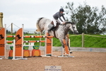 Cls 50 Senior Foxhunter portfolio