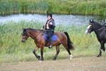 WJ7_5158
