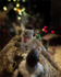 Christmas Time