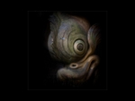 Stonefish