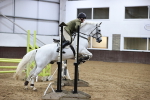 SBM_001547