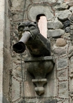 Façade gargoyle (water spout)