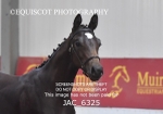 JAC_6325