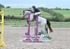 BPP_4637