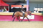 SBM_06400