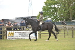 SBM_15946
