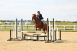 SBM_008650