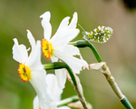 20140419-3K8A0353