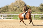 SBM_002167