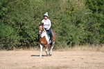 WJ6_7710