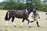 WJ6_5879
