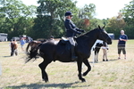 WJ6_8284