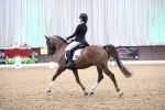SBM_008355