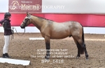 BPP_1418