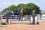 BPP_1763