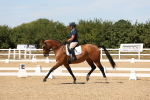 SBM_002919
