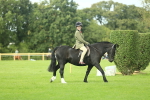 SBM_44863