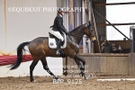 BPP_9125
