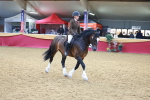 SBM_06073