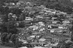 Mgwashi B/W