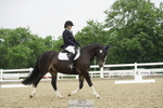 Novice 30 portfolio