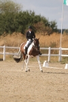 SBM_015110