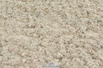 230721A-113847-05786