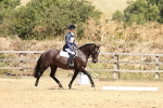 SBM_002534