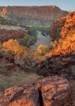 Trephina Gorge East MacDonnell range