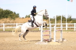SBM_000631