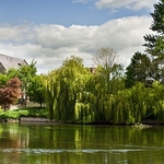 the severn at shrewsbury