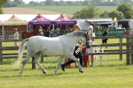 SBM_00738