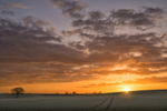 Marvellous March Morning