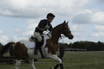 BVHT 140517  NXC -99