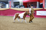 SBM_00293