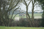 PtP 100324 173