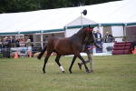 SBM_09841