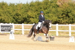 SBM_017783