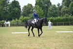 WJ6_5790