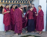 Young Monks, Phobjikha