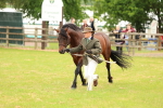 SBM_04199