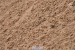 231028A-141454-01855