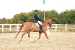 SBM_001650