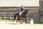 SBM_010559