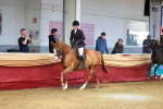 SBM_19217