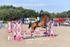 BPP_7799