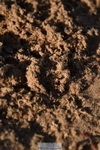 231015A-092316-06691