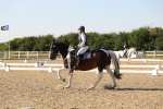 SBM_007003