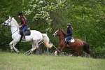WJ6_1569