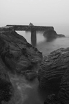 Foggy morning